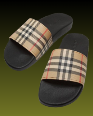 Berxxrry slides